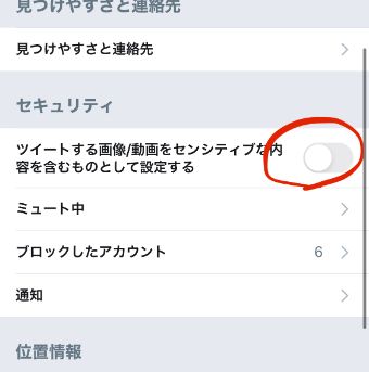 『ツイートする画像/動画をセンシティブな内容を含むものとして設定する』を『オン』の状態にする