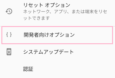 「開発者向けオプション」をタップ