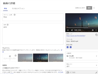動画の詳細の表示