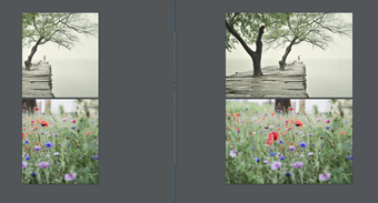 トリミングしたPDF