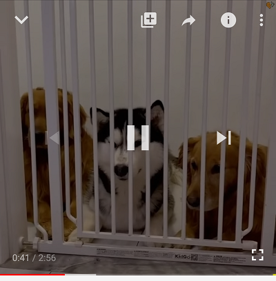 PCブラウザ版YouTubeで動画にマウスカーソルを乗せる