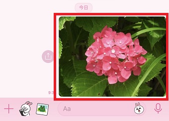 写真や画像をタップ