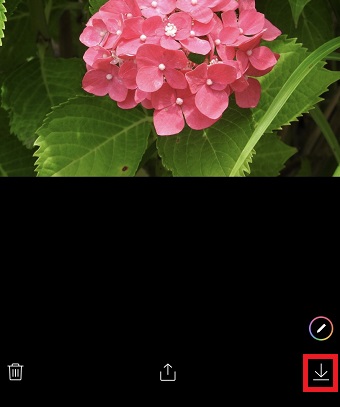 右下のダウンロードボタンをタップ