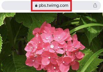 Chromeのアドレスバーをタップ