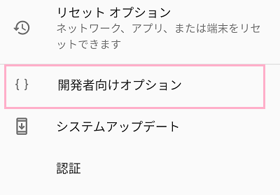 システムの項目一覧の「詳細設定」をタップ→「開発者向けオプション」をクリック
