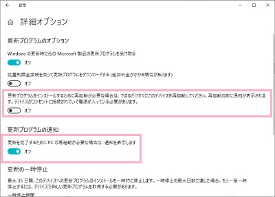 詳細オプション