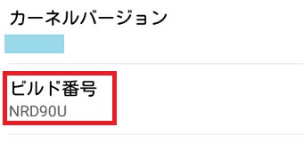 『ソフトウェア情報』のビルド番号