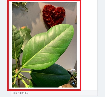 LINEノートを開き、保存したい写真をクリック