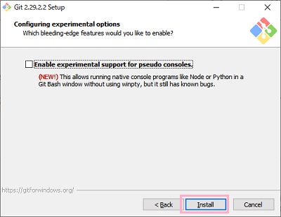 「Enable experimental support for pseudo consoles.」をオフにして「Install」をクリック