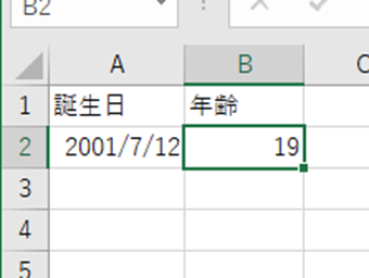 誕生日からの年齢の自動計算