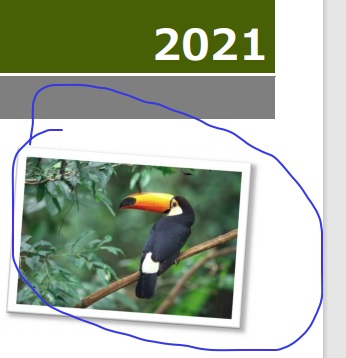 手書き入力状態のPDF