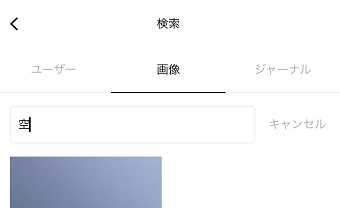 検索結果の表示