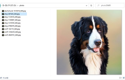 エクスプローラーのプレビューウィンドウが開いた画面