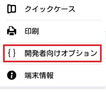 『開発者向けオプション』をタップ