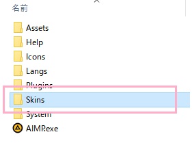 「Skins」にコピーしたスキンファイルを入れる