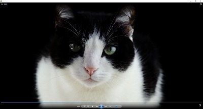 Windows Media Player起動画面