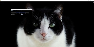 猫の動画でコマ送りを試す