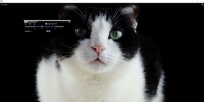 3・4回コマ送りをクリックで猫の表情が変わった