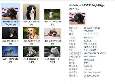 エクスプローラーウィンドウの右側でExif情報が確認できる