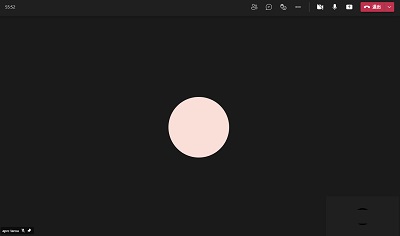 ピン留めしたユーザーのカメラが画面中央に拡大して表示されている