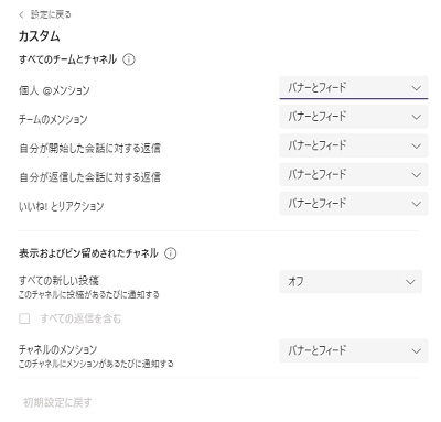カスタムの設定項目