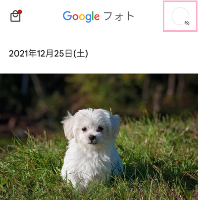 アカウントアイコンをタップ