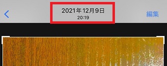 撮影日が表示された