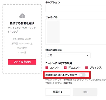 『著作権侵害のチェックを実行』をチェック