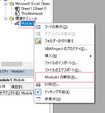 「Module1の開放」をクリック