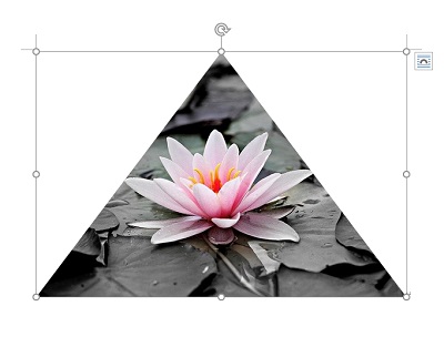 特定の図形の形にトリミングできた