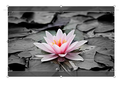 トリミングマーカーが指定した比率で表示される