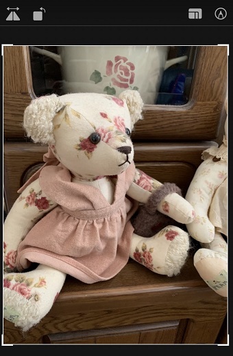 写真が左右反転した