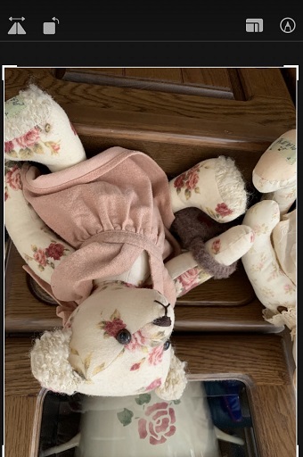 2回タップして180度回転させる