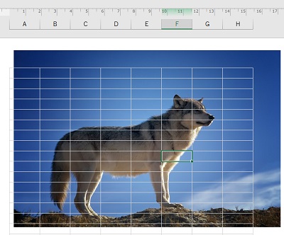挿入した背景画像が表示された