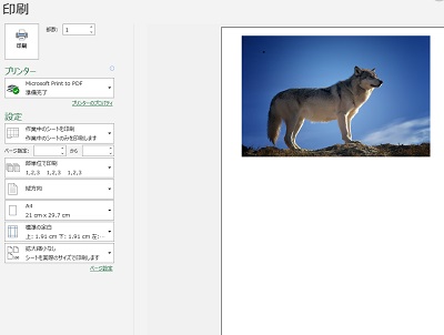 印刷プレビューにも表示される