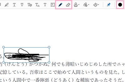 「鉛筆ツール」アイコンをクリック→カラーパレットから黒色or白色を選択