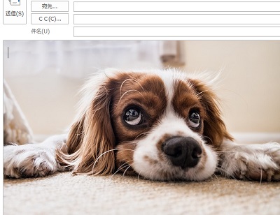 メール本文の背景に写真が設定できた