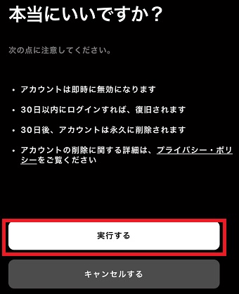 『実行する』をタップ