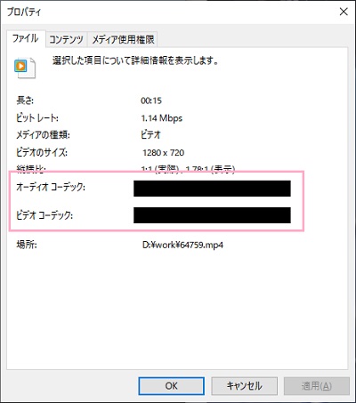 「オーディオコーデック」と「ビデオコーデック」を確認