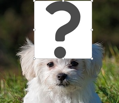 単色背景の画像は簡単に透過できる