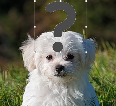 画像の背景を削除して透過できた