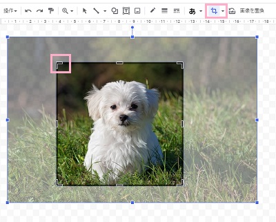 ハンドルをドラッグしてトリミングの範囲を指定し「画像を切り抜く」ボタンをクリック