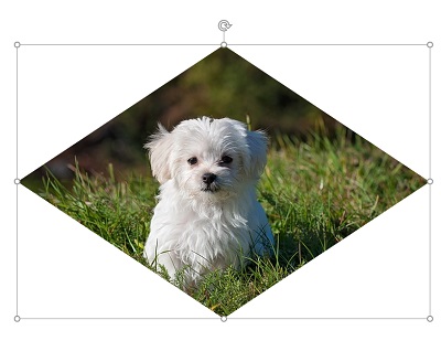 選んだ図形の形にトリミングできた