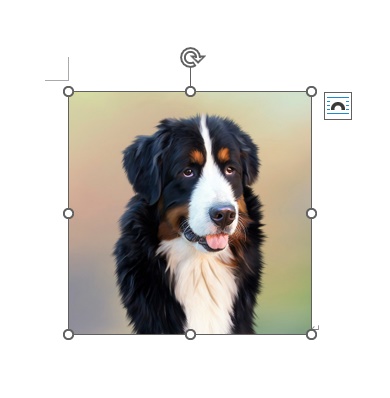 画像を挿入することができた