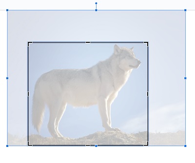 表示されたハンドルをドラッグして切り抜きたい範囲を設定