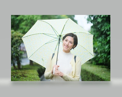 画像を読み込ませることができた