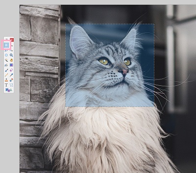 モザイクをかけたい範囲を指定