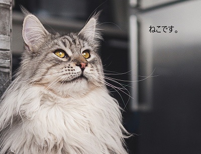 挿入したテキストは移動可能