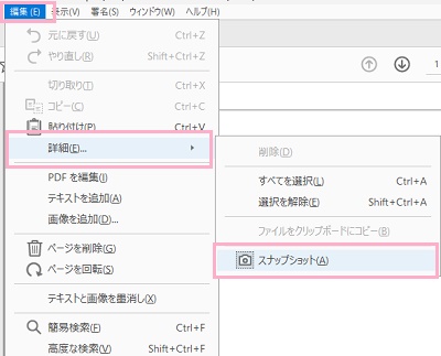 「編集」→「詳細」→「スナップショット」をクリック