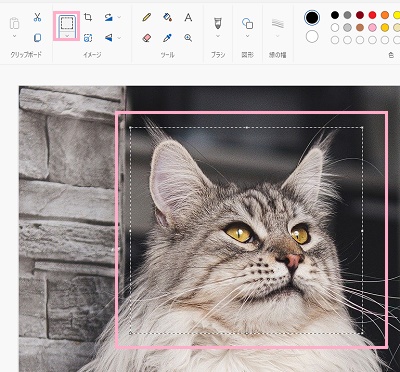 モザイクをかけたい範囲をドラッグ操作で選択